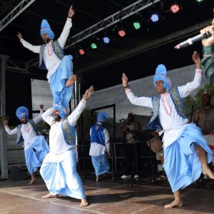 Folkin-Fusion-Collective-7