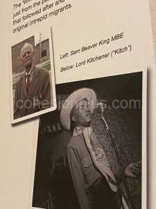 IMG_3618