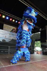 Kudos Combat Chinese Lions 2