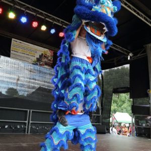 Kudos Combat Chinese Lions 2