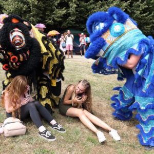 Kudos Combat Chinese Lions