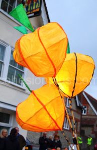 Wfol025