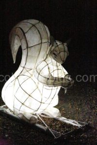 Wfol041