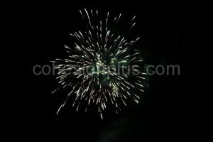 Wfol042