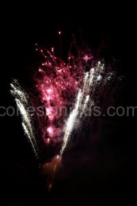 Wfol043