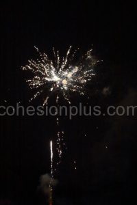 Wfol044