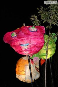 festivaloflight5