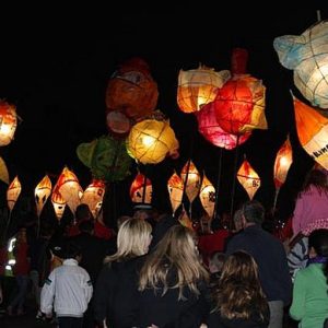 festivaloflight7