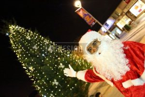 xmas lights2014-14