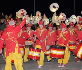 DFOL 16