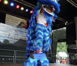 Kudos Combat Chinese Lions 2