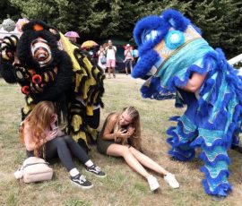 Kudos Combat Chinese Lions