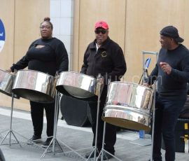 Maidstone-Fusion-6