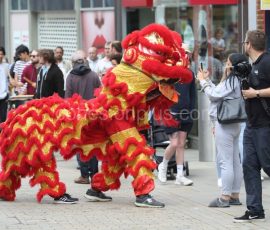 Maidstone-Fusion-8