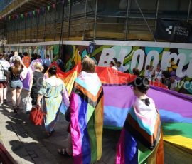 Pride-Small-7