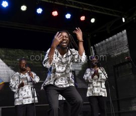 Tunbridge-Wells-Mela-Festival-2021-24