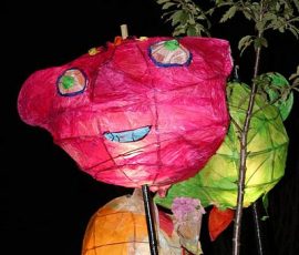 festivaloflight5