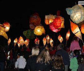 festivaloflight7