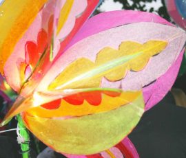 img_4078