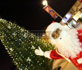 xmas lights2014-14