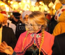 xmas lights2014-18